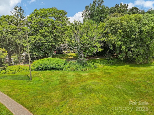419 Country Club Dr, Waynesville, NC 28786 - photo 48