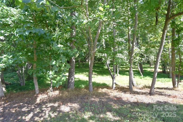 1524 Belleview Dr NE, Conover, NC 28613 - photo 35