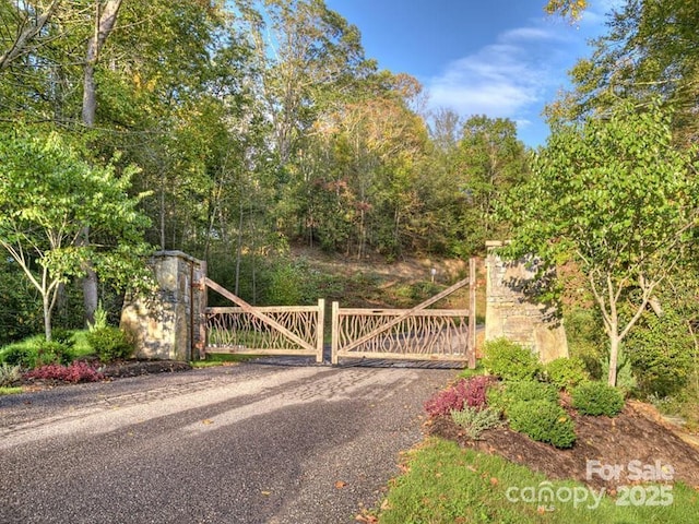 LOT16 Sunset Falls Dr Unit 16, Clyde, NC 28721 - photo 2