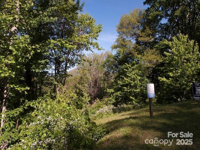 LOT16 Sunset Falls Dr Unit 16, Clyde, NC 28721 - photo 5