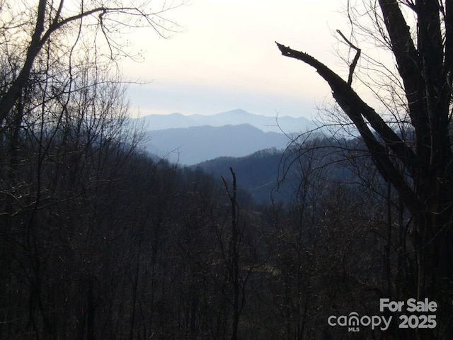 LOT16 Sunset Falls Dr Unit 16, Clyde, NC 28721 - photo 7