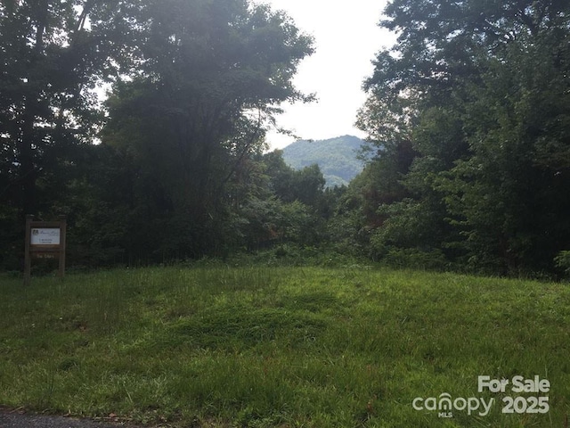 LOT16 Sunset Falls Dr Unit 16, Clyde, NC 28721 - photo 8