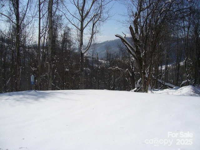 LOT16 Sunset Falls Dr Unit 16, Clyde, NC 28721 - photo 9