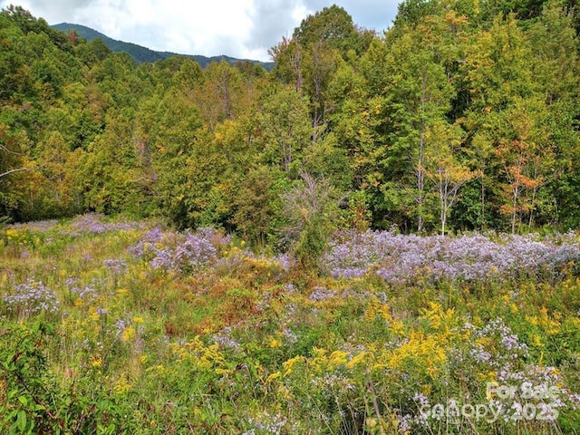 LOT16 Sunset Falls Dr Unit 16, Clyde, NC 28721 - photo 10