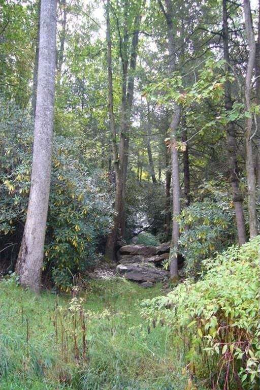 LOT16 Sunset Falls Dr Unit 16, Clyde, NC 28721 - photo 12