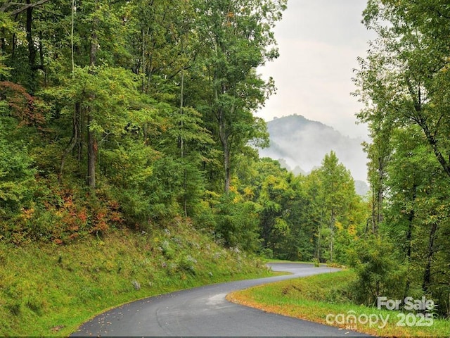 LOT16 Sunset Falls Dr Unit 16, Clyde, NC 28721 - photo 13
