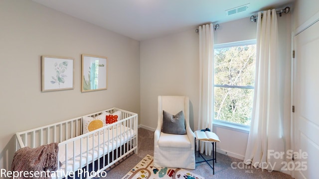 1053 20th Avenue Loop SE, Hickory, NC 28602 - carpeted bedroom featuring multiple windows and a crib