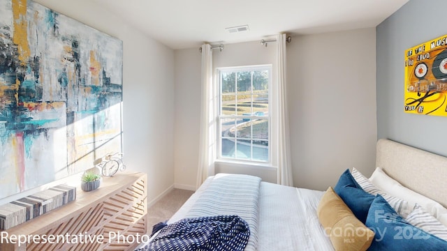 1053 20th Avenue Loop SE, Hickory, NC 28602 - bedroom with carpet