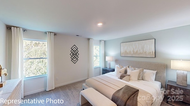 1053 20th Avenue Loop SE, Hickory, NC 28602 - bedroom featuring multiple windows and light colored carpet