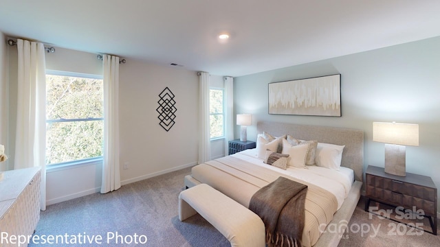 1053 20th Avenue Loop SE, Hickory, NC 28602 - bedroom featuring light colored carpet and baseboards