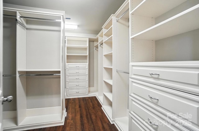 2006 Paddington Dr, Indian Trail, NC 28079 - spacious closet featuring dark wood-type flooring