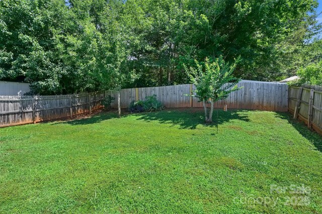 2007 Salmon River Dr, Monroe, NC 28110 - photo 21