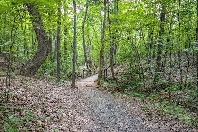 1855 Second Baxter Xing, Fort Mill, SC 29708 - view of road with a wooded view