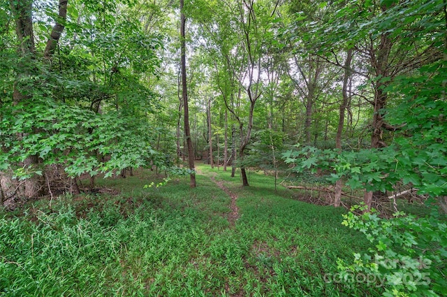7411 Davis Rd, Waxhaw, NC 28173 - view of yard with a view of trees