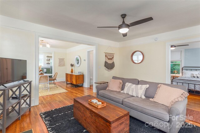 148 Mimosa Dr, Asheville, NC 28806 - photo 5