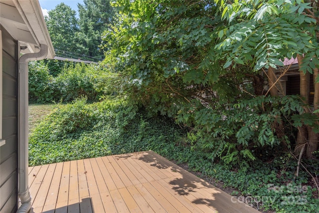 148 Mimosa Dr, Asheville, NC 28806 - photo 19