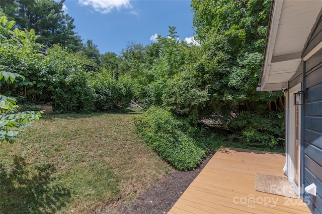 148 Mimosa Dr, Asheville, NC 28806 - photo 20