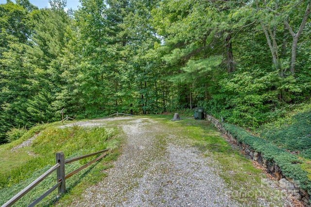 23 Jay Foster Way, Saluda, NC 28773 - photo 33