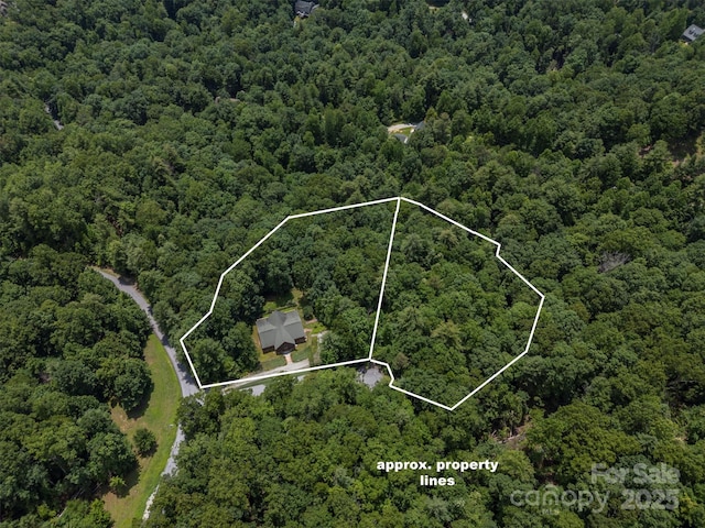 23 Jay Foster Way, Saluda, NC 28773 - photo 36