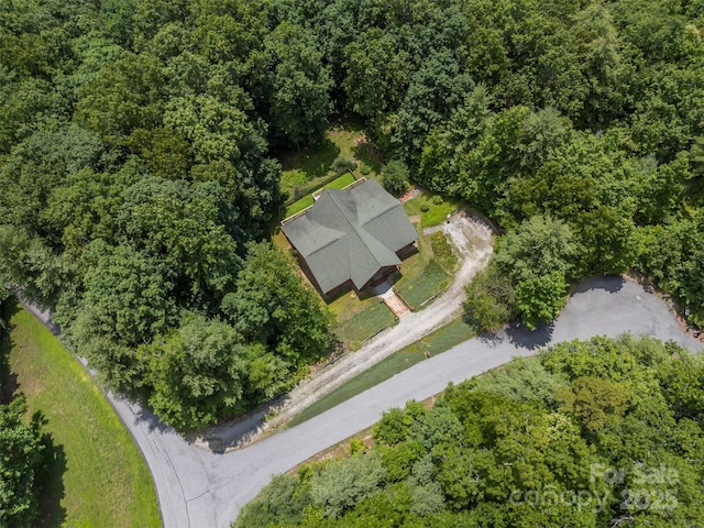23 Jay Foster Way, Saluda, NC 28773 - photo 37