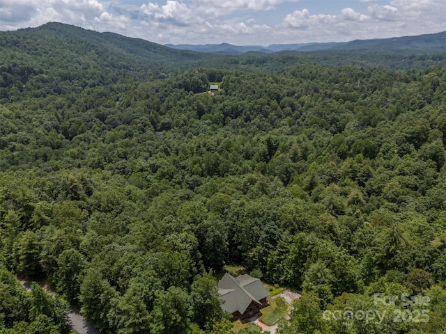 23 Jay Foster Way, Saluda, NC 28773 - photo 38