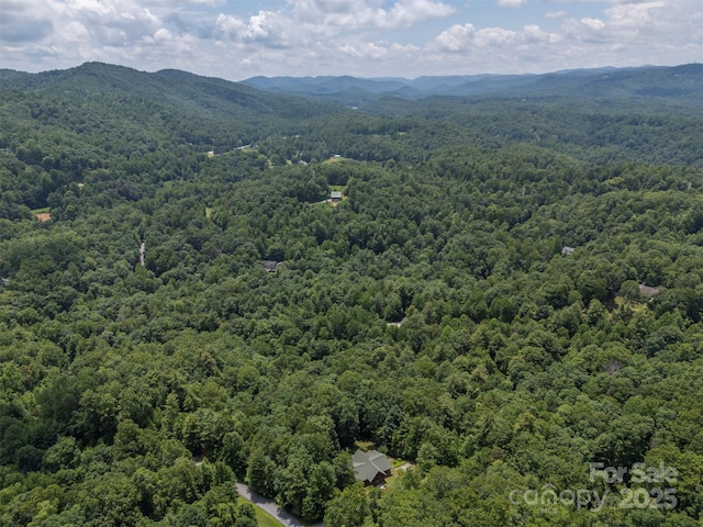 23 Jay Foster Way, Saluda, NC 28773 - photo 39