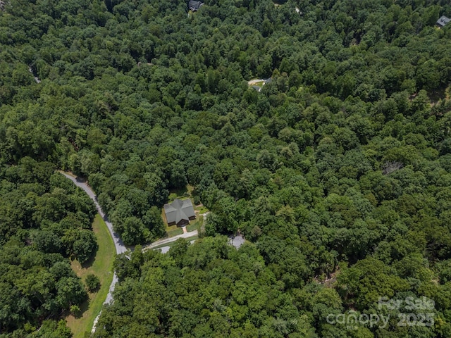 23 Jay Foster Way, Saluda, NC 28773 - photo 40