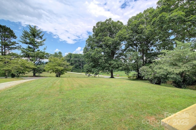 816 S Mills Gap Rd, Hendersonville, NC 28792 - photo 7