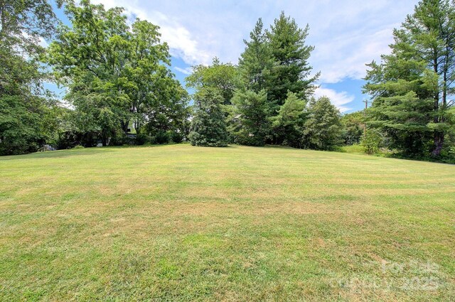 816 S Mills Gap Rd, Hendersonville, NC 28792 - photo 9