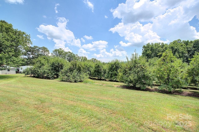 816 S Mills Gap Rd, Hendersonville, NC 28792 - photo 12