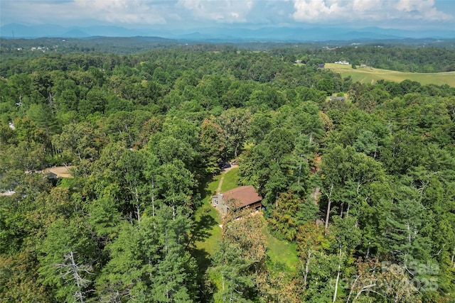 4 Northview Ln, Weaverville, NC 28787 - drone / aerial view of a heavily wooded area