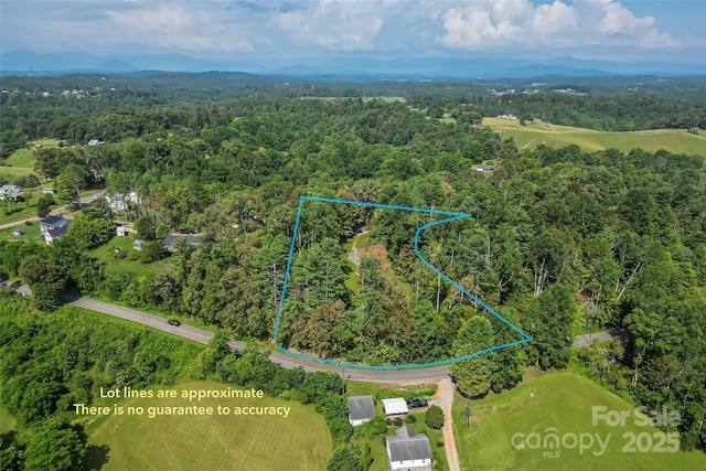 4 Northview Ln, Weaverville, NC 28787 - view of property location with a forest and property parcel outlined