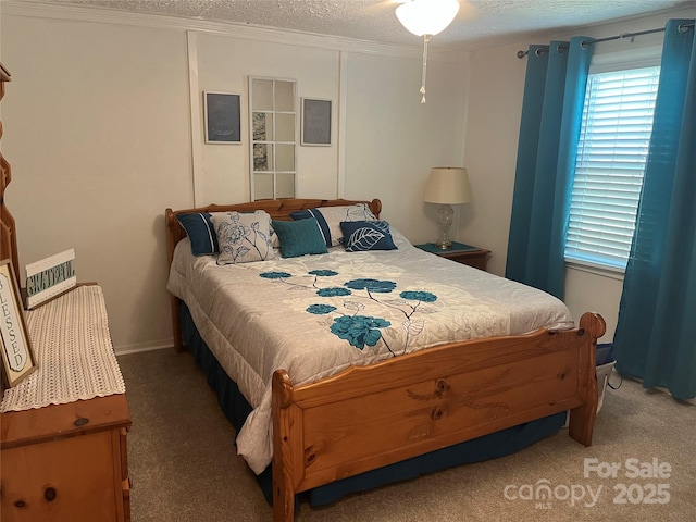 69 Devlin St, Canton, NC 28716 - bedroom featuring light colored carpet and a textured ceiling
