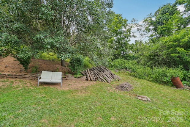 69 Devlin St, Canton, NC 28716 - photo 26