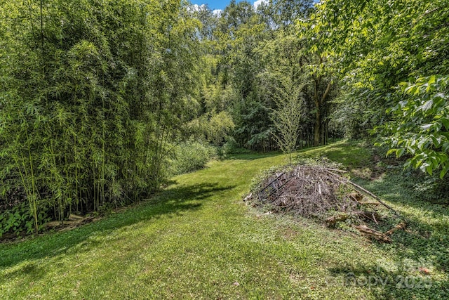48 Allen Dr, Waynesville, NC 28786 - photo 26
