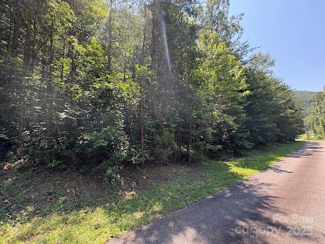 LOT13 Wildflower Way, Marion, NC 28752 - photo 2