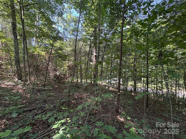 LOT13 Wildflower Way, Marion, NC 28752 - photo 3