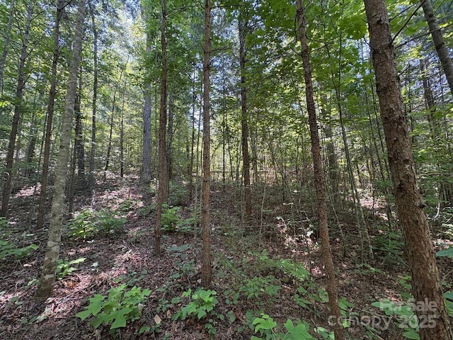 LOT13 Wildflower Way, Marion, NC 28752 - photo 4