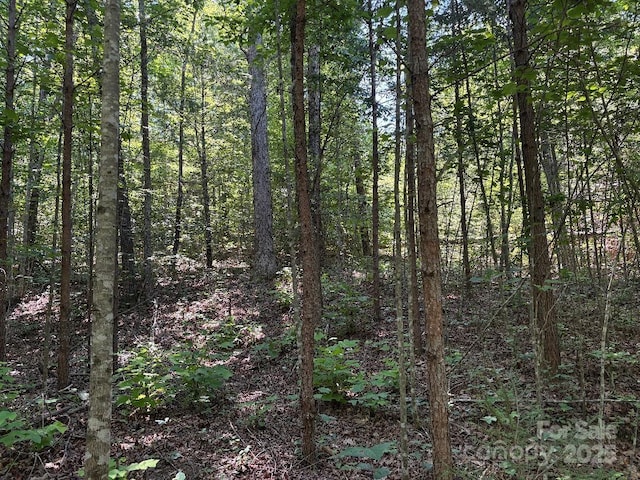 LOT13 Wildflower Way, Marion, NC 28752 - photo 5