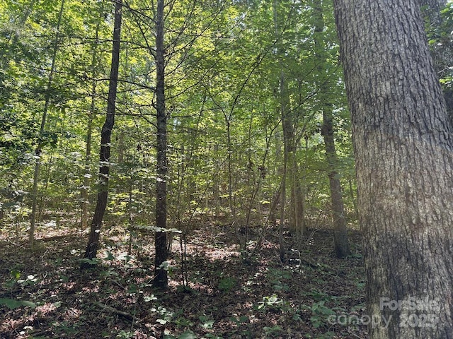 LOT13 Wildflower Way, Marion, NC 28752 - photo 6