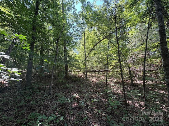 LOT13 Wildflower Way, Marion, NC 28752 - photo 7