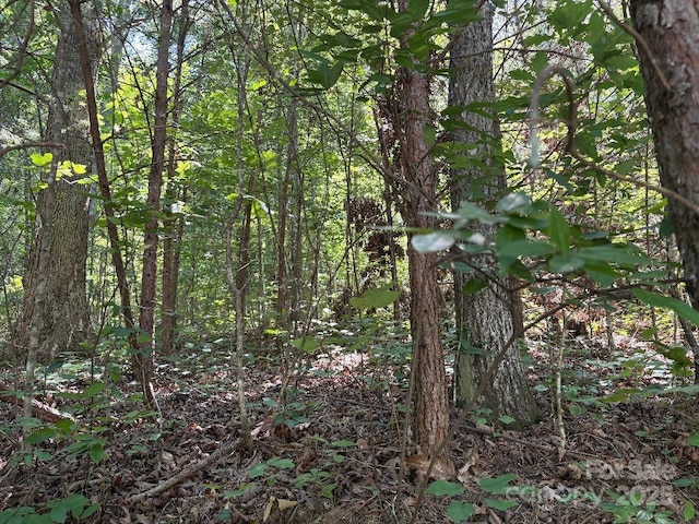LOT13 Wildflower Way, Marion, NC 28752 - photo 8