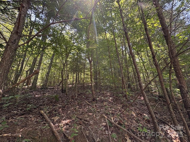 LOT13 Wildflower Way, Marion, NC 28752 - photo 9