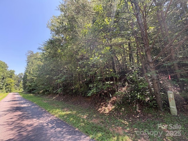 LOT13 Wildflower Way, Marion, NC 28752 - photo 11