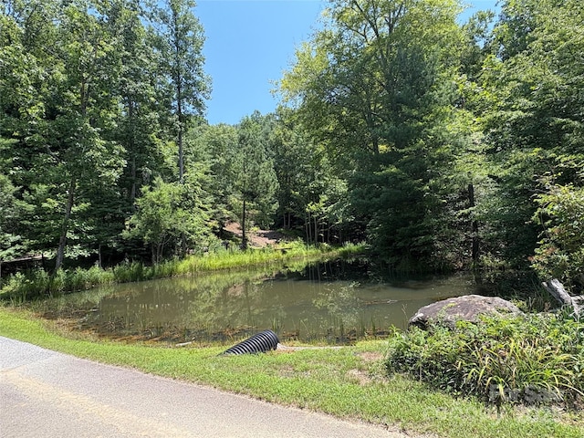 LOT13 Wildflower Way, Marion, NC 28752 - photo 14