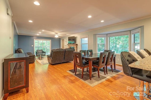 100 Thistle Knoll Ct, Asheville, NC 28803 - photo 7