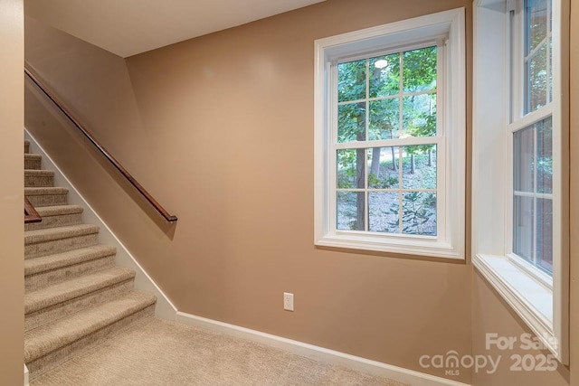 100 Thistle Knoll Ct, Asheville, NC 28803 - photo 19