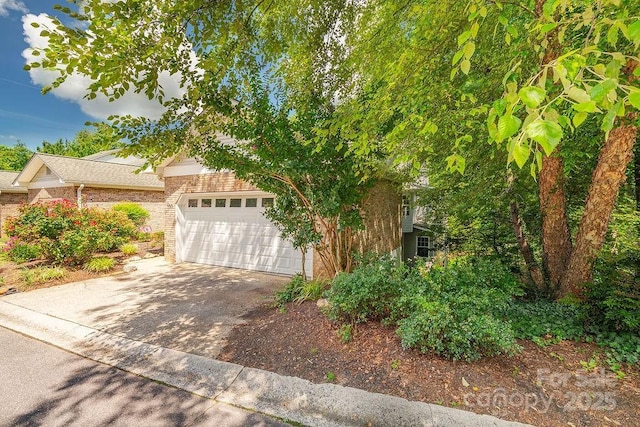 100 Thistle Knoll Ct, Asheville, NC 28803 - photo 32