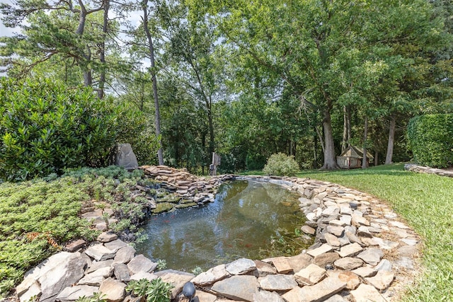 5 Hidden Cove Ln, Clover, SC 29710 - water view with a garden pond