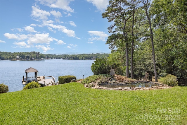5 Hidden Cove Ln, Clover, SC 29710 - water view featuring a boat dock